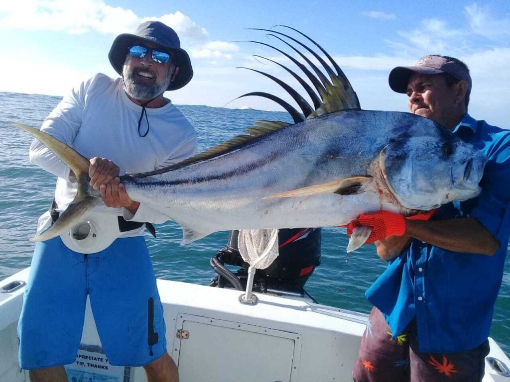 Large Rooster Fish