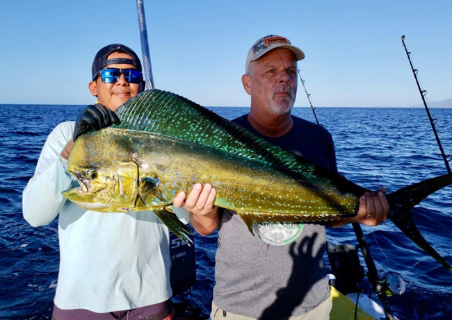 Mahi-Mahi Fish Papagayo