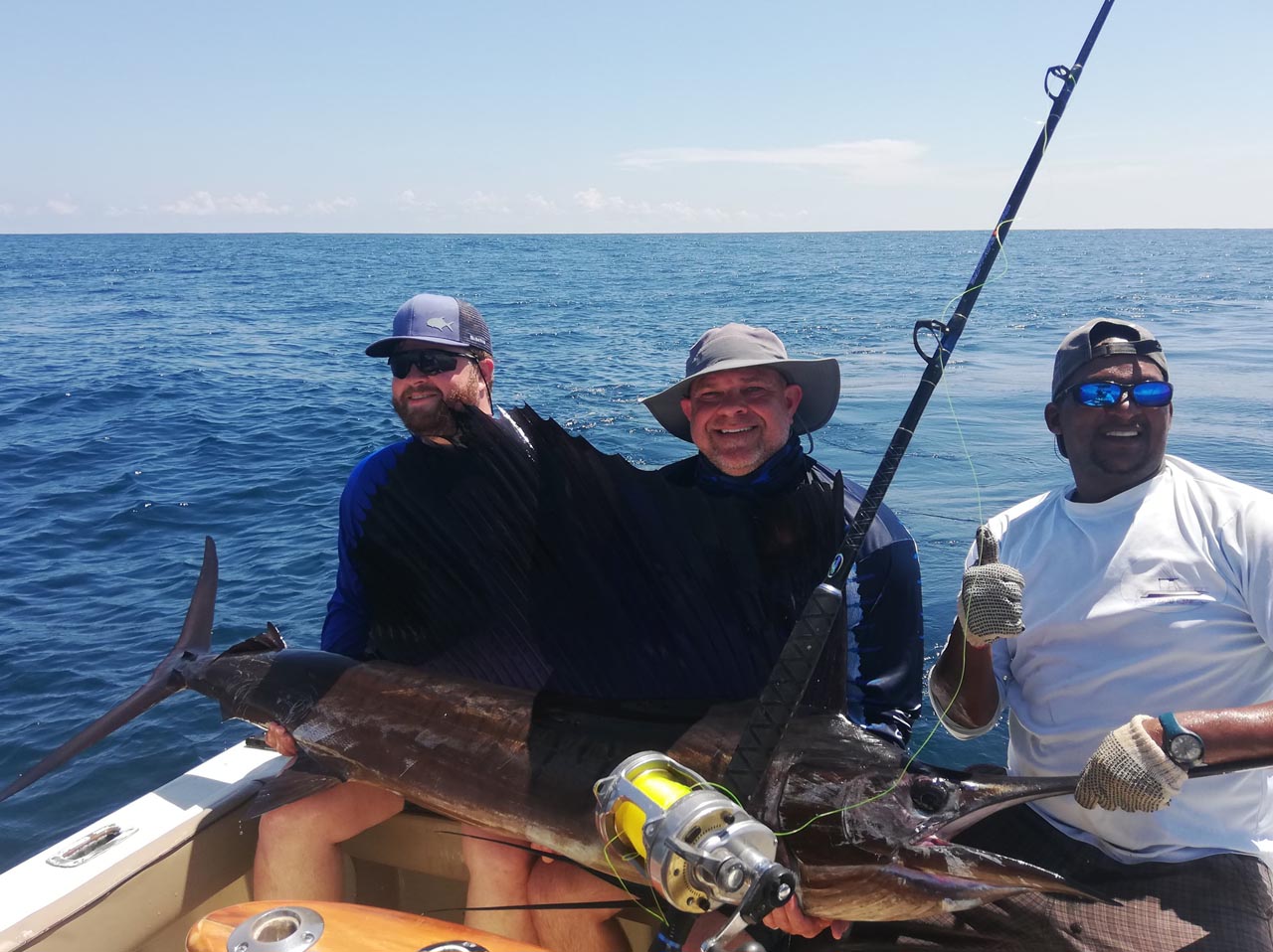 Sailfish on the Papagayo Gulf