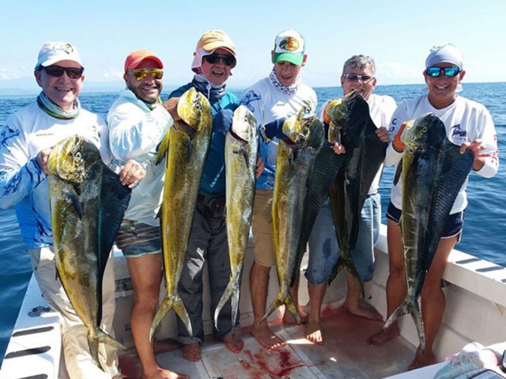 Mahi,Mahi,Sport,Fishing,Costa,Rica,With,Trolling,Lures - Saltwater