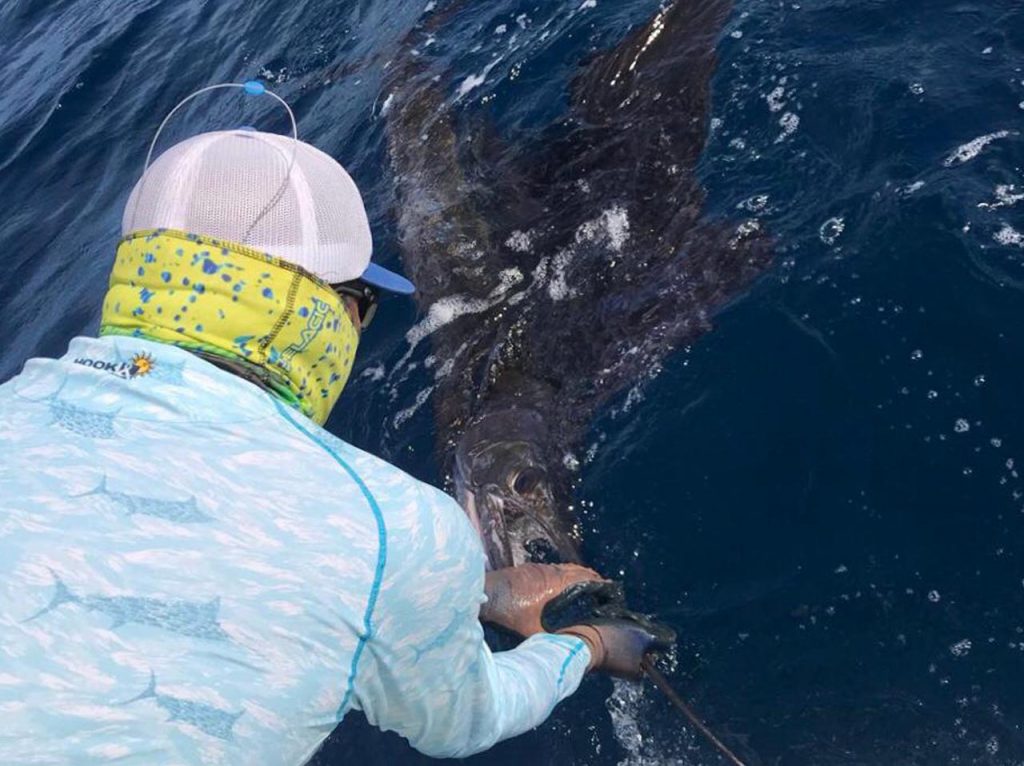 Sailfish in Tamarindo Guanacaste