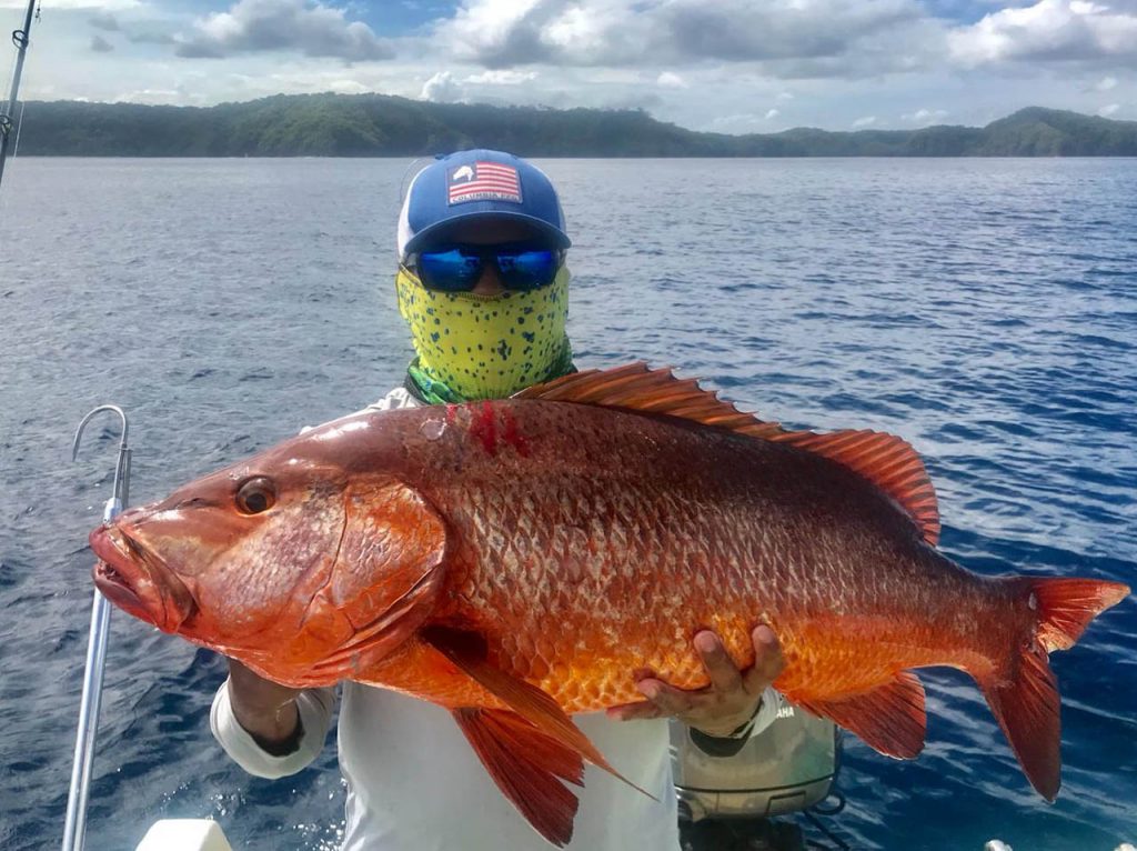 Red Snapper Near Ocotal Beach