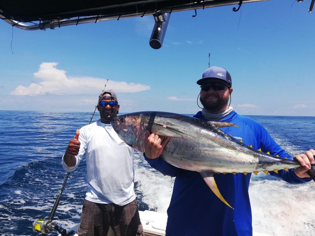 Yellow fin Tuna: Deep Sea Fishing